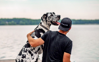 Father’s Day Gifts to Make The Day Special for Your Dog Dad