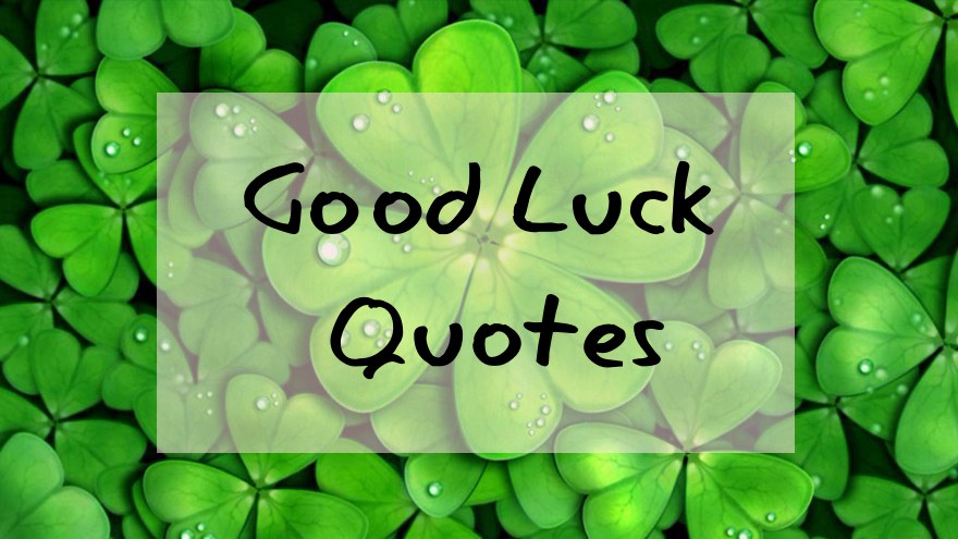 Good Luck Quotes and Messages to Write in A Good Luck Card