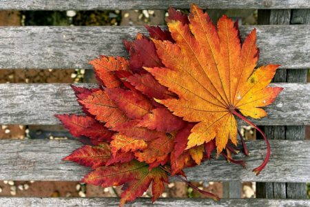 Cute Funny Fall Quotes That Remind Us of The Beauty Of This Season