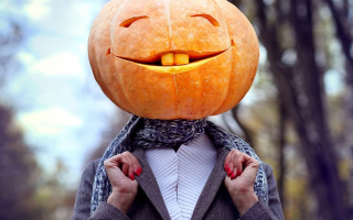 121 Funny Halloween Sayings For Signs That Will Make Your Neighbors Laugh