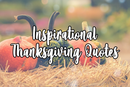 49 + Inspirational Thanksgiving Quotes to Share With Your Friends and Family