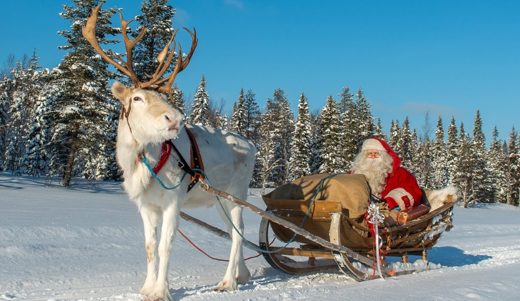 35 Funny Christmas Reindeer Quotes To Share With Your Family