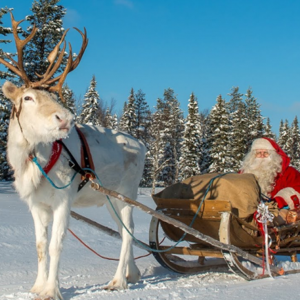 35 Funny Christmas Reindeer Quotes To Share With Your Family