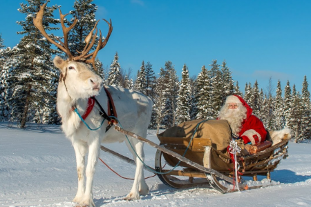 35 Funny Christmas Reindeer Quotes To Share With Your Family