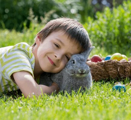 10+ Easter Gifts For The 13 Year Old Boy In Your Life