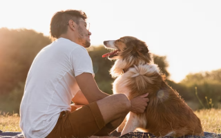 19 Special Father's Day Gifts From Dog For The Dog Dad In Your Life