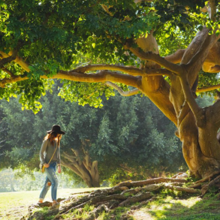 45 Nature And Life Quotes That Harmonize Beautifully 