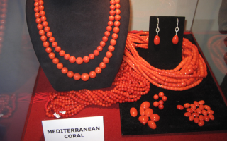 The Surprising Reasons Behind the High Cost of Coral Jewelry