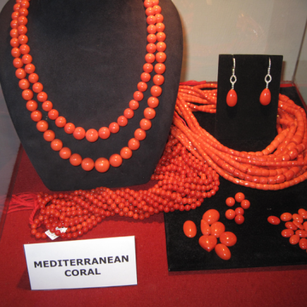 The Surprising Reasons Behind the High Cost of Coral Jewelry