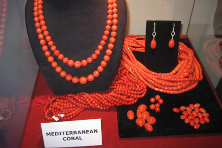 The Surprising Reasons Behind the High Cost of Coral Jewelry