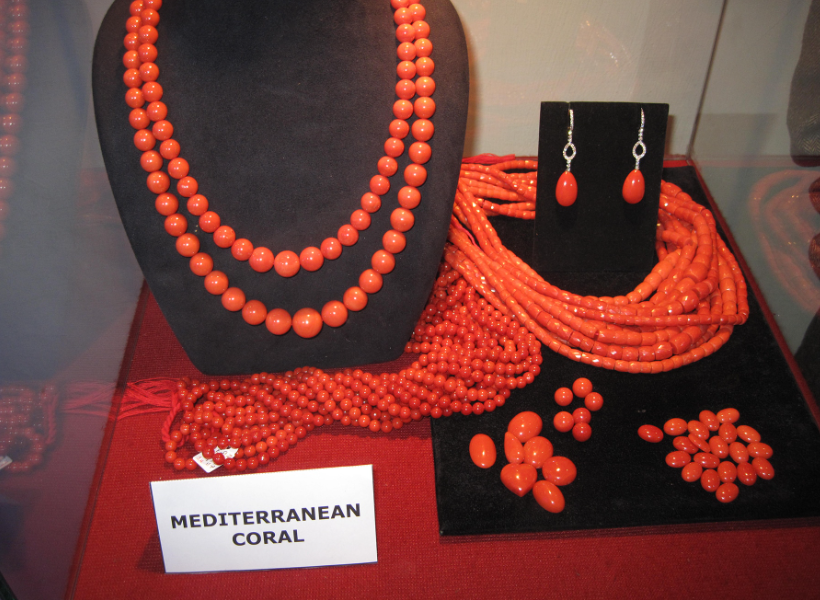 The Surprising Reasons Behind the High Cost of Coral Jewelry