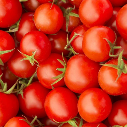 33 Funny Tomato Day Quotes To Make Your Friends Like You