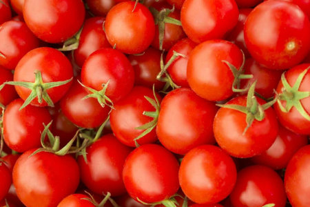 33 Funny Tomato Day Quotes To Make Your Friends Like You