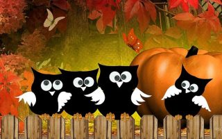 Why Are Owls Associated With Halloween?