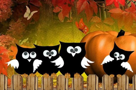 Why Are Owls Associated With Halloween?