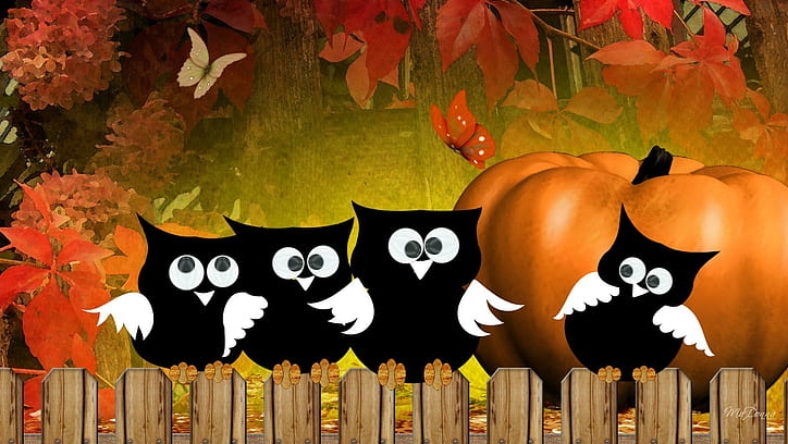 Why Are Owls Associated With Halloween?