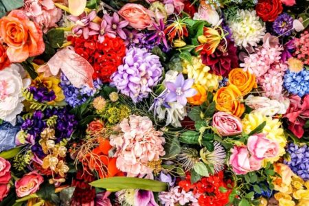 Beyond Roses: Discover 9 Unique and Enchanting Flowers to Gift Your Beloved on Valentine's Day