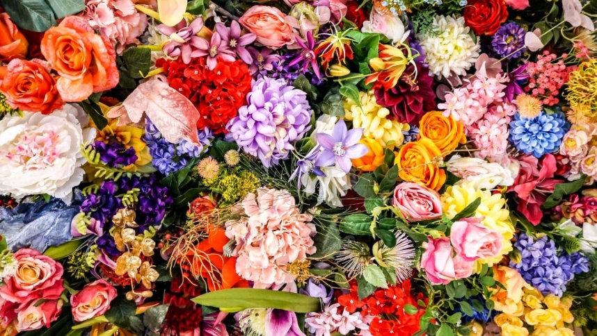 Beyond Roses: Discover 9 Unique and Enchanting Flowers to Gift Your Beloved on Valentine's Day